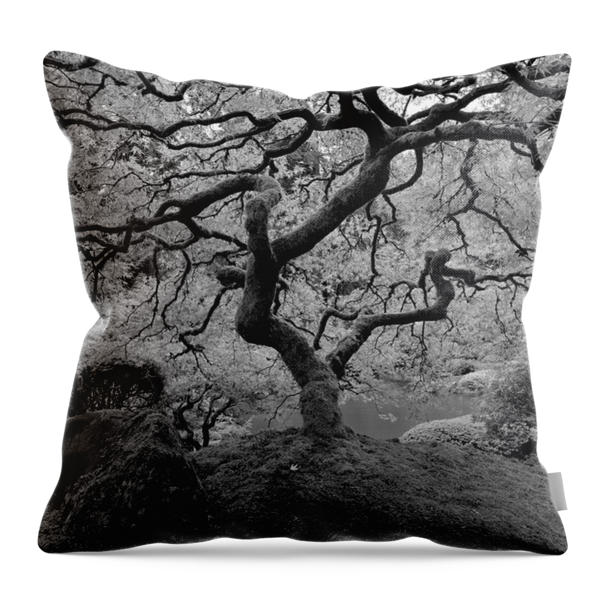 Black And White Throw Pillow featuring the photograph Wisdom BW by Jonathan Davison