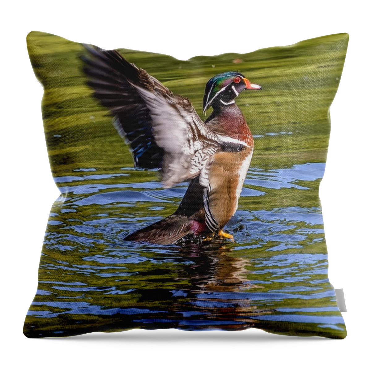 Wood Throw Pillow featuring the photograph Wood Duck Flapping by Jerry Cahill