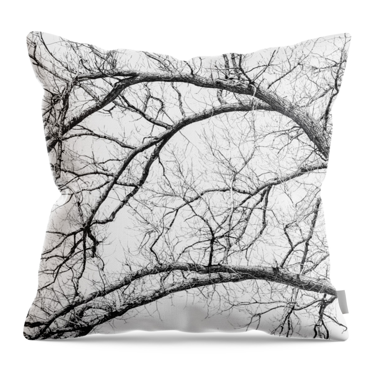 Timber Throw Pillow featuring the photograph Wooden Arteries by Az Jackson