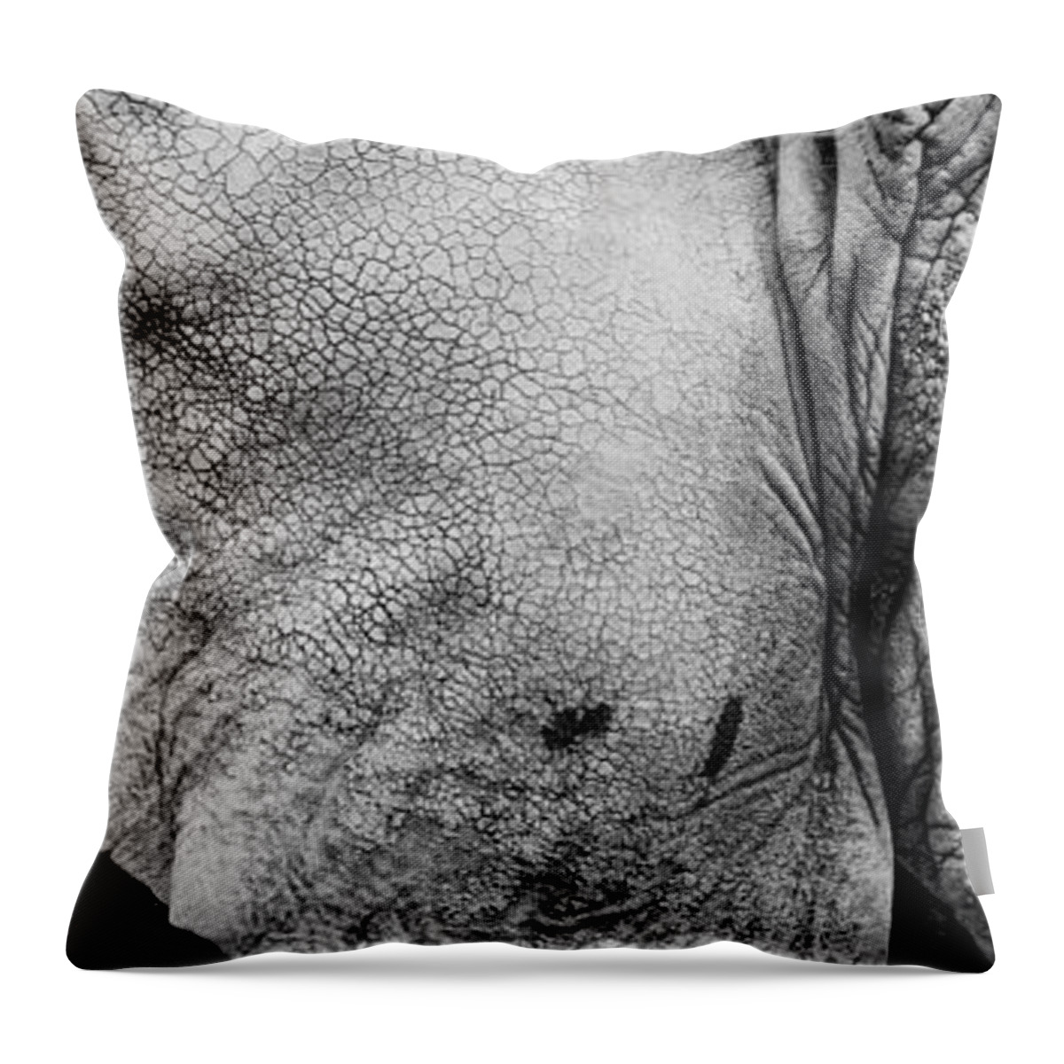 Portrait Throw Pillow featuring the photograph Wrinkles by Joye Ardyn Durham