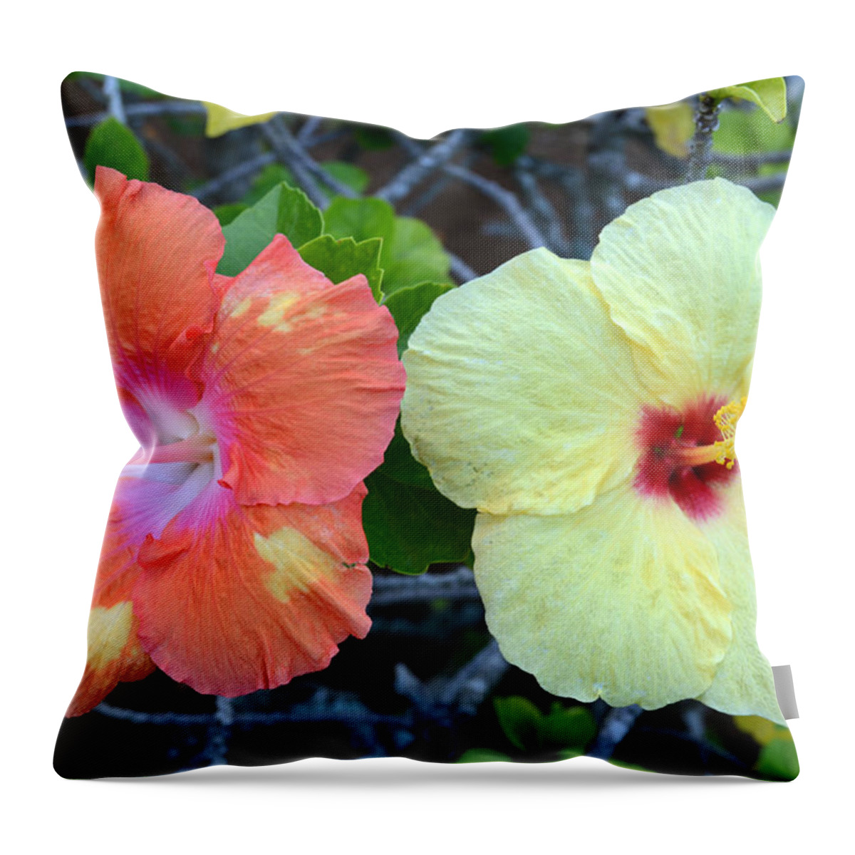 Flower Throw Pillow featuring the photograph Yellow and Orange Hibiscus Flowers by Amy Fose