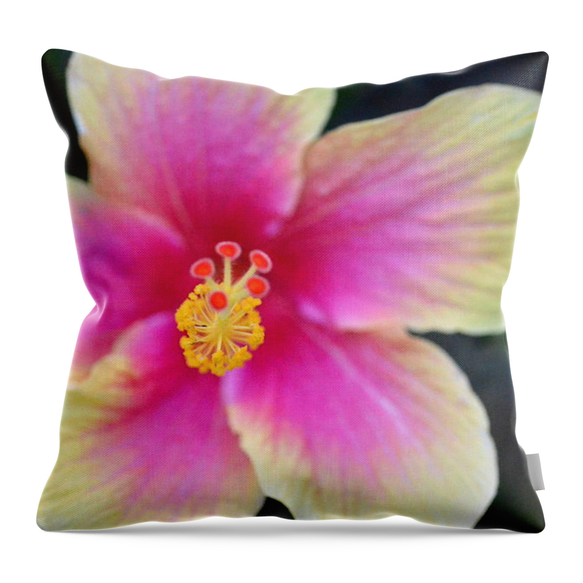 Flower Throw Pillow featuring the photograph Yellow and Pink Hibiscus 2 by Amy Fose