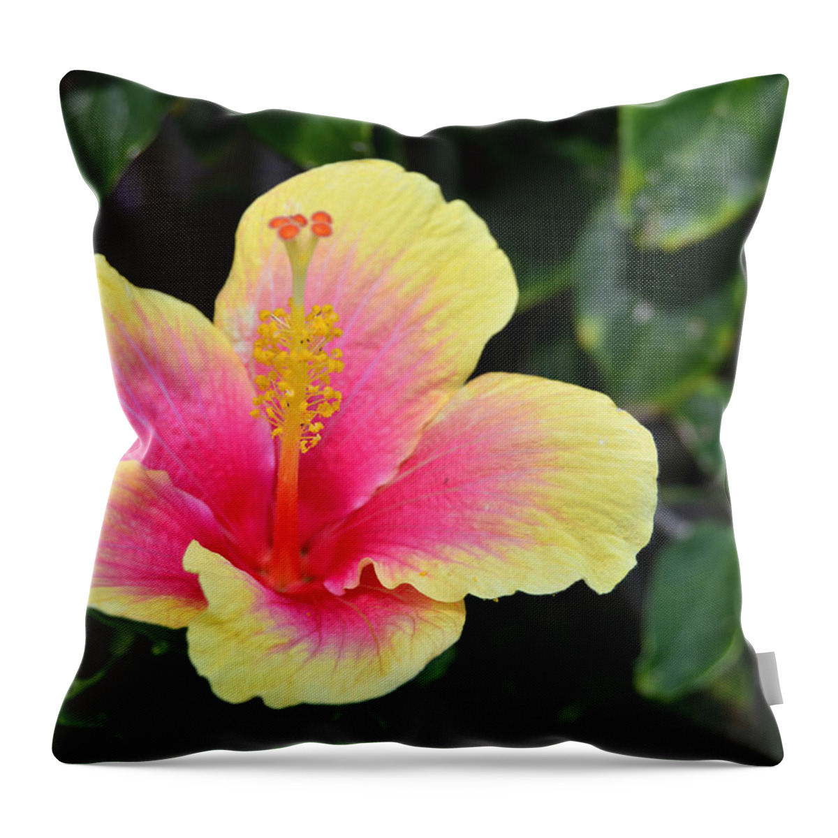 Flower Throw Pillow featuring the photograph Yellow and Pink Hibiscus 1 by Amy Fose