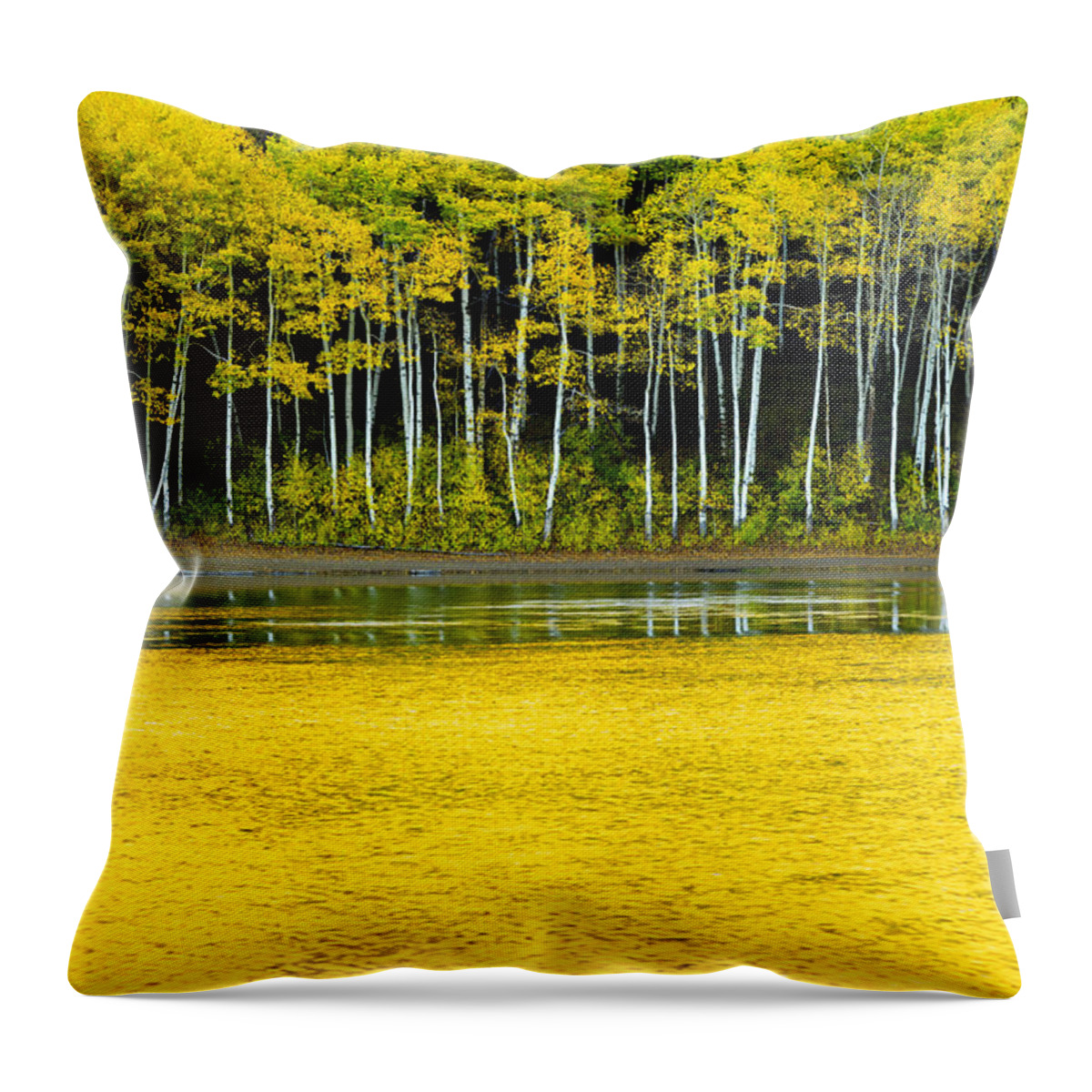 Nature Throw Pillow featuring the photograph Yellow by Chad Dutson