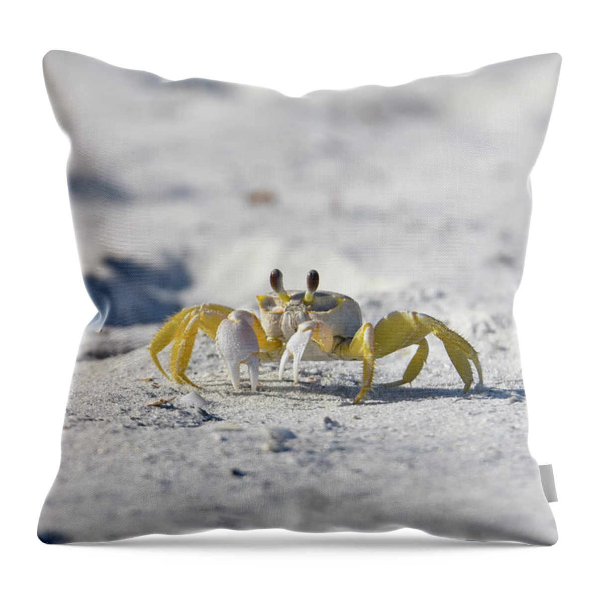 Crab Throw Pillow featuring the photograph Yellow Crab by Artful Imagery