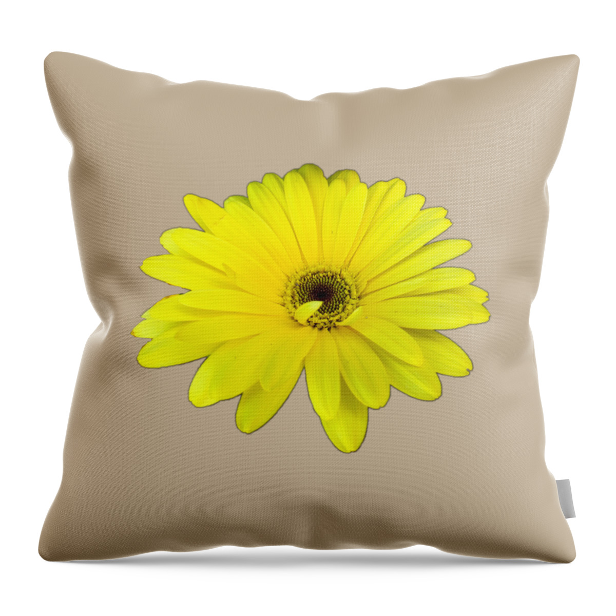 Yellow Throw Pillow featuring the photograph Yellow Daisy Flower by Delynn Addams by Delynn Addams