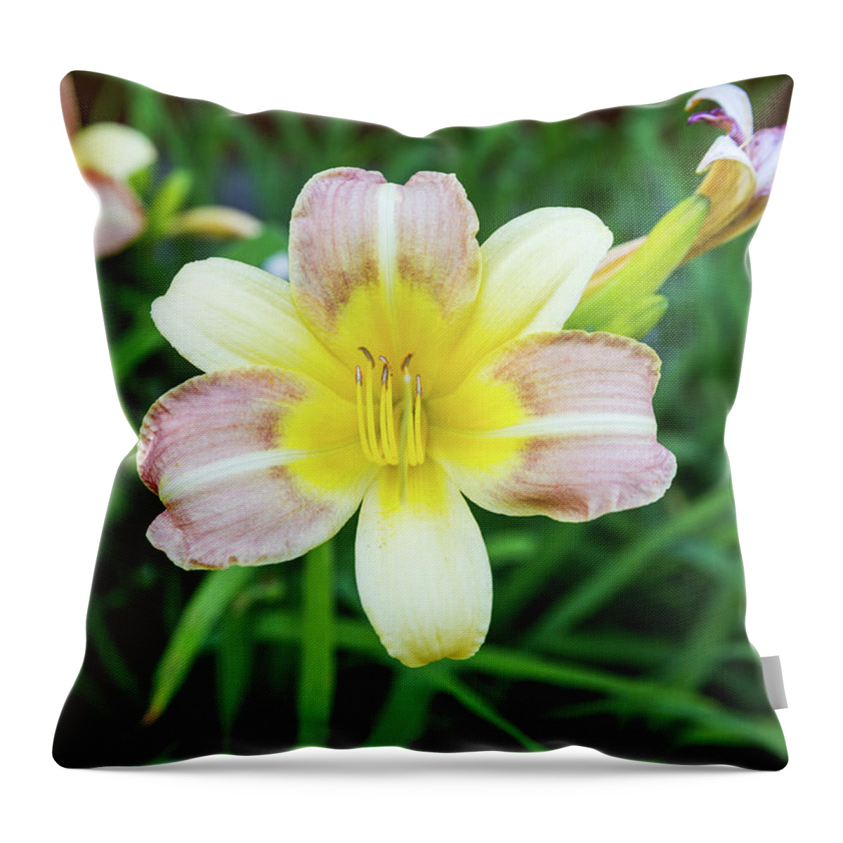 Daylily Throw Pillow featuring the photograph Yellow Daylily by D K Wall