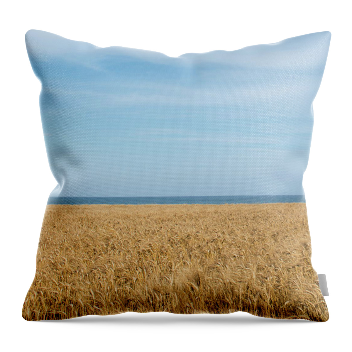 Background Throw Pillow featuring the photograph Yellow field, sea and blue sky by Michalakis Ppalis