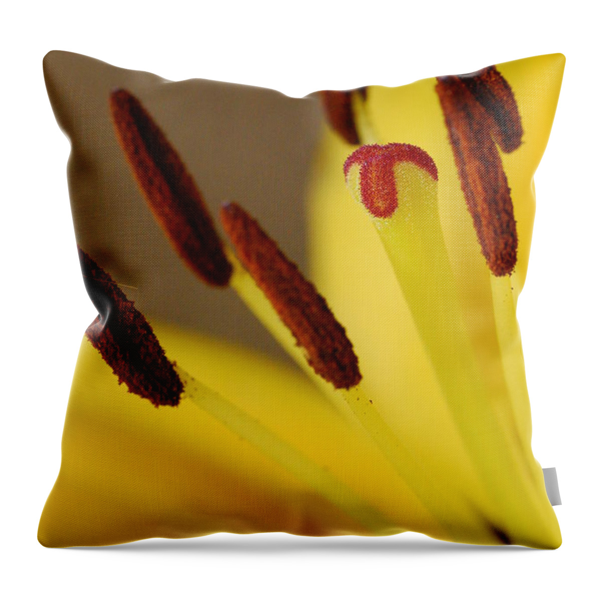 Flower Throw Pillow featuring the photograph Yellow Lily Reach 2 by Amy Fose