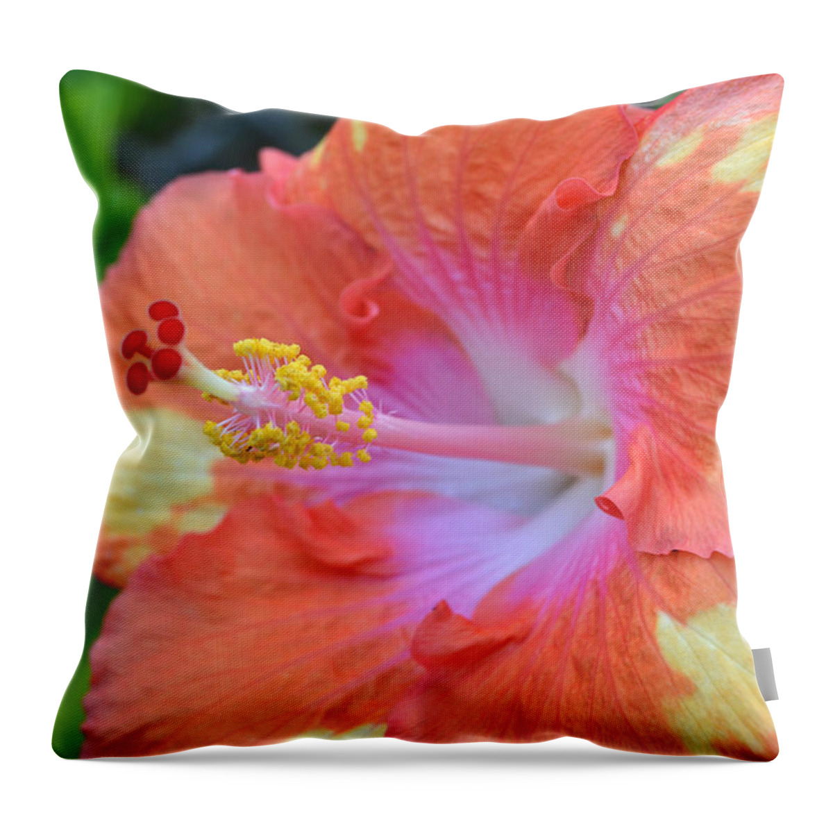 Flower Throw Pillow featuring the photograph Yellow Orange Hibiscus by Amy Fose