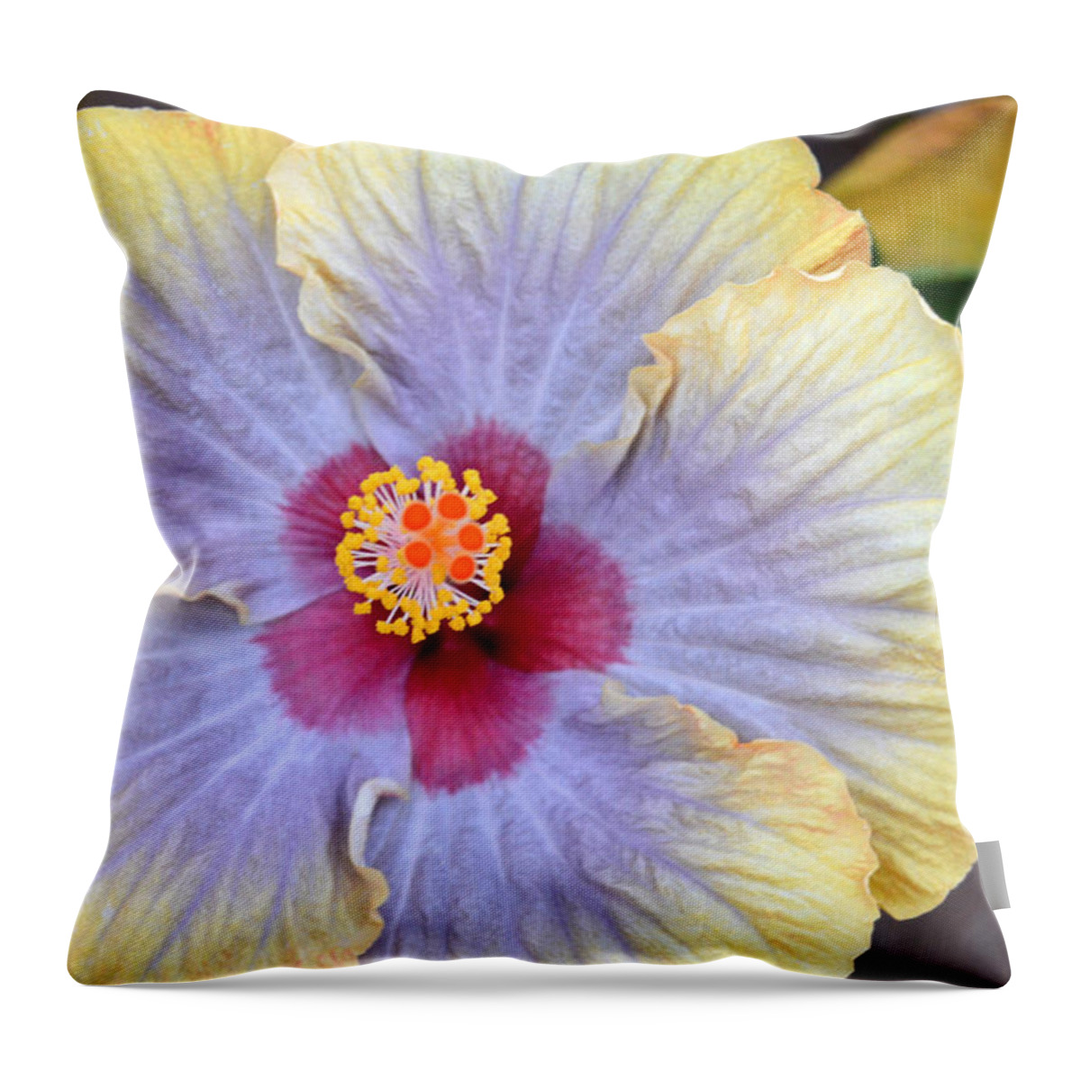 Flower Throw Pillow featuring the photograph Yellow Purple Hibiscus 3 by Amy Fose