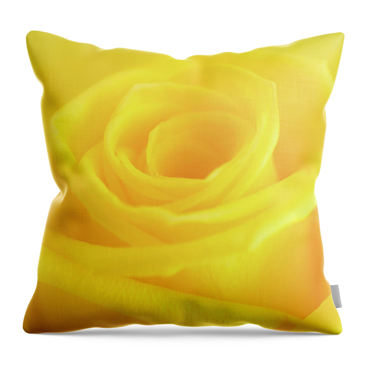 Yellow Rose Throw Pillow featuring the photograph Yellow Rose by Andy Myatt