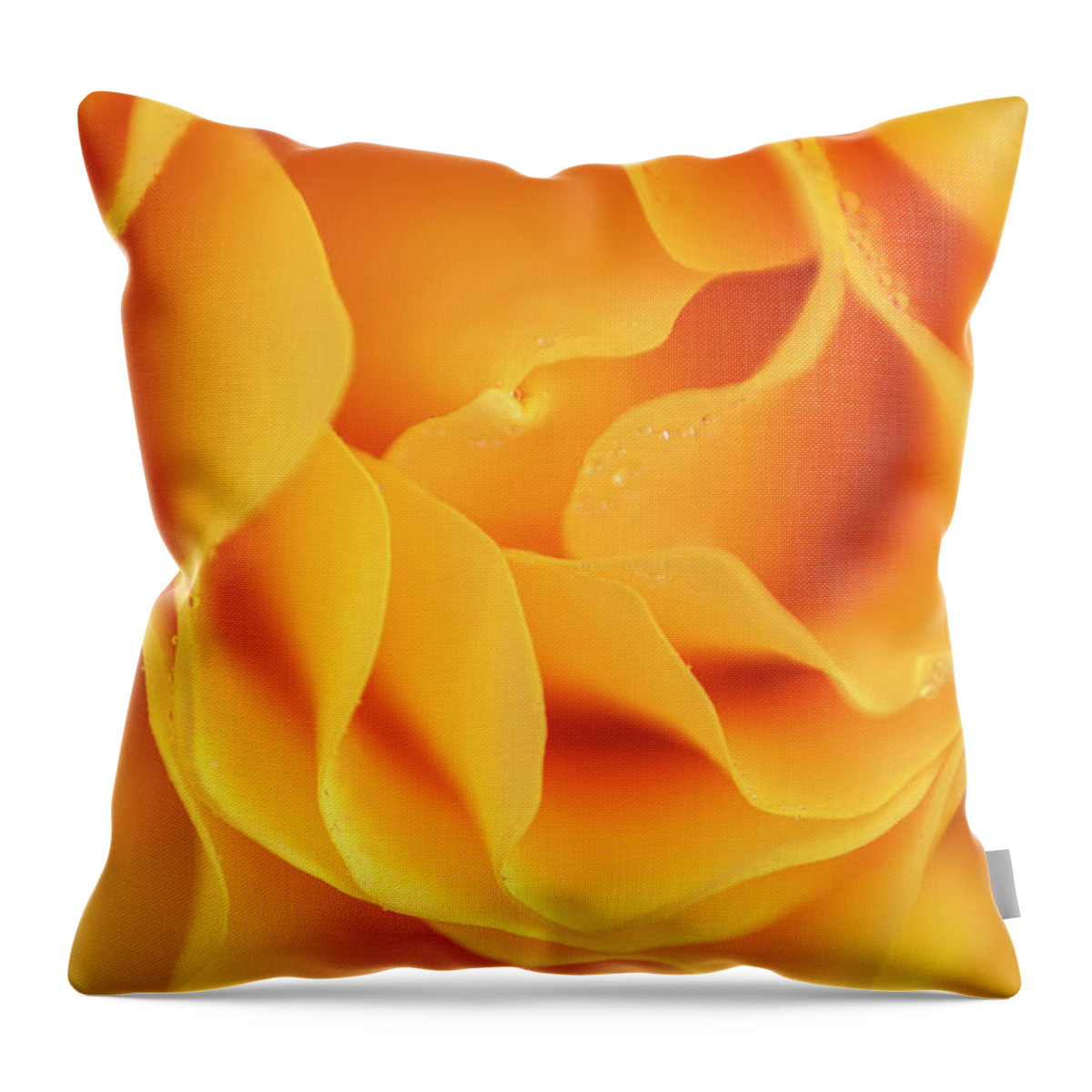 Flower Throw Pillow featuring the photograph Yellow rose of Texas by Usha Peddamatham