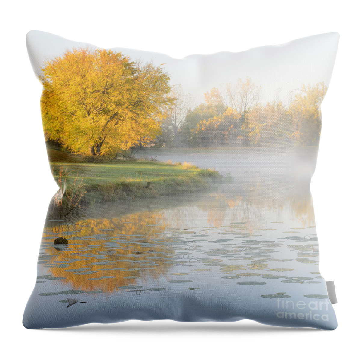 A Vibrant Yellow Tree During The Morning Golden Hour At The Lake. A Very Brisk Morning With Steam Rising Off The Lake. Throw Pillow featuring the photograph Yellow Tree Reflection on the Lake by Tamara Becker
