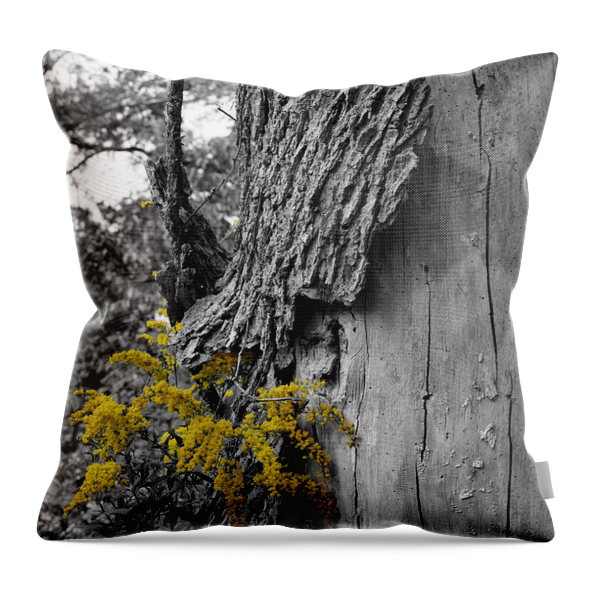 Bark Throw Pillow featuring the photograph Yellow Tufts by Dylan Punke