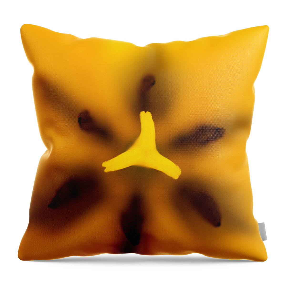 Tulip Throw Pillow featuring the photograph Yellow Tulip by Sebastian Musial