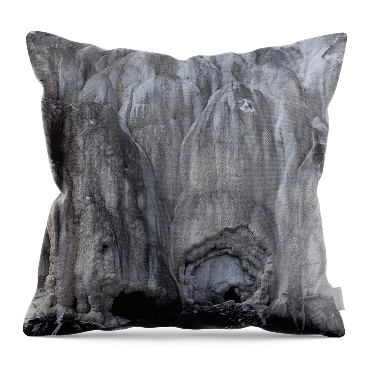 Texture Throw Pillow featuring the photograph Yellowstone 3683 by Michael Fryd