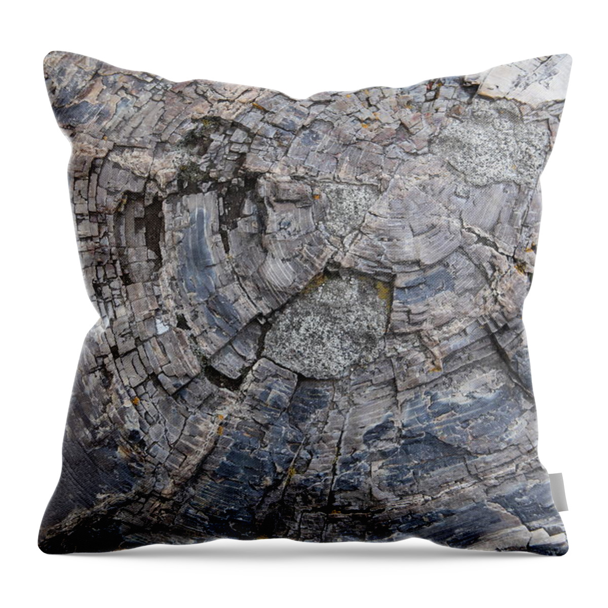 Texture Throw Pillow featuring the photograph Yellowstone 3707 by Michael Fryd