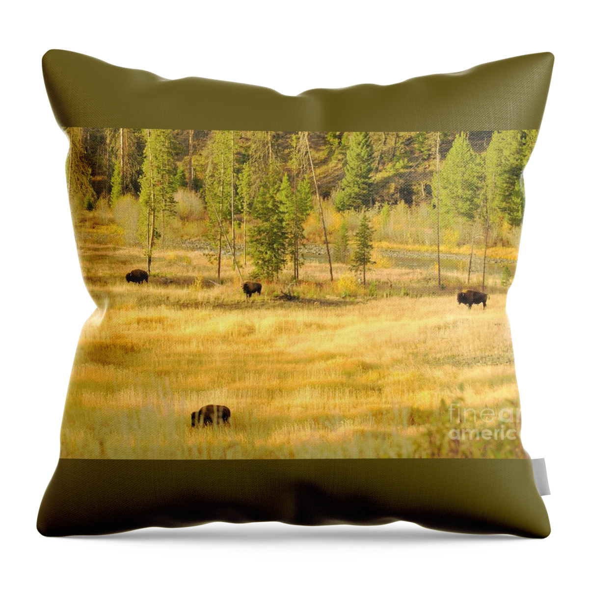 Yellowstone National Park Throw Pillow featuring the photograph Yellowstone Bison by Merle Grenz