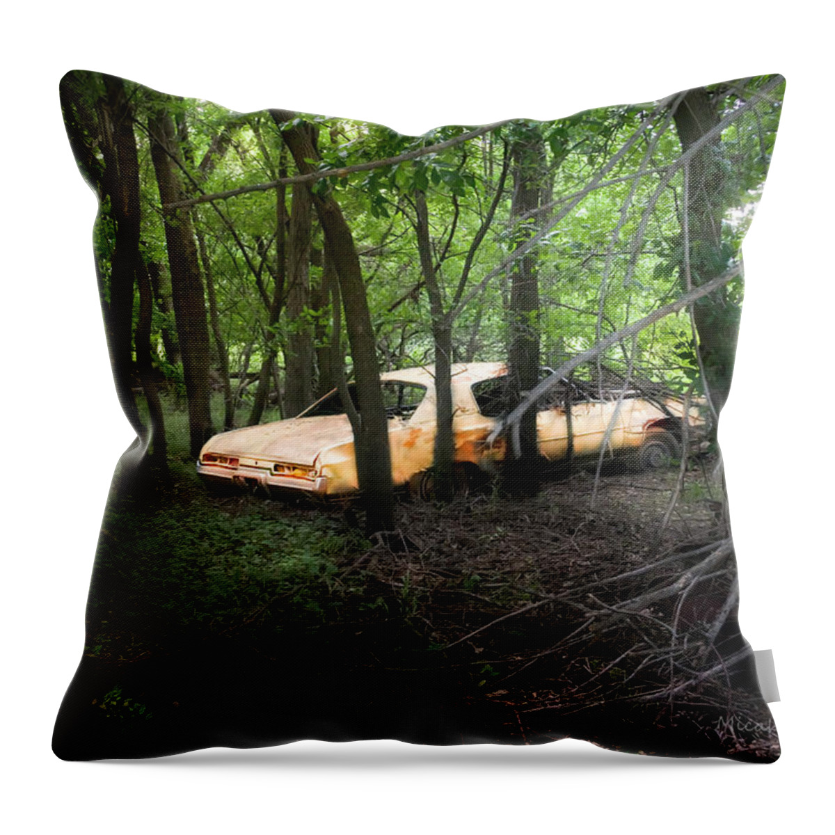 Abandoned Throw Pillow featuring the photograph Your automobile gonna fall apart by Micah Offman