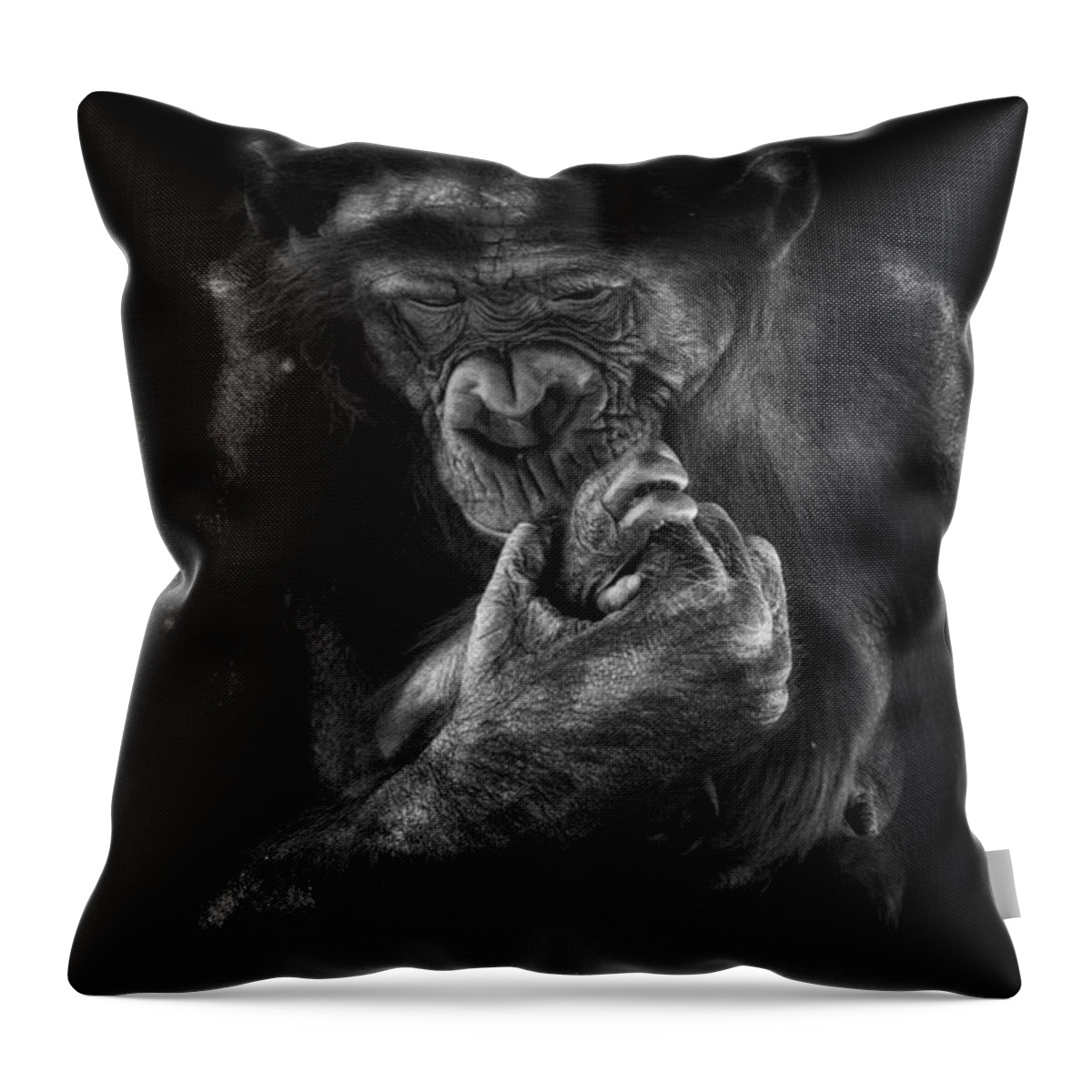 Crystal Yingling Throw Pillow featuring the photograph Your Hand in Mine by Ghostwinds Photography