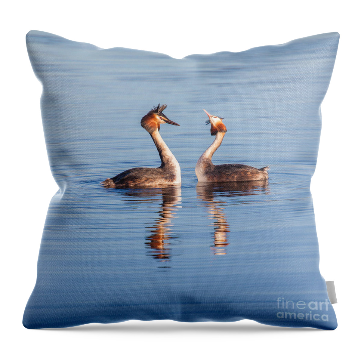 Fuut Throw Pillow featuring the photograph You're kidding by Casper Cammeraat
