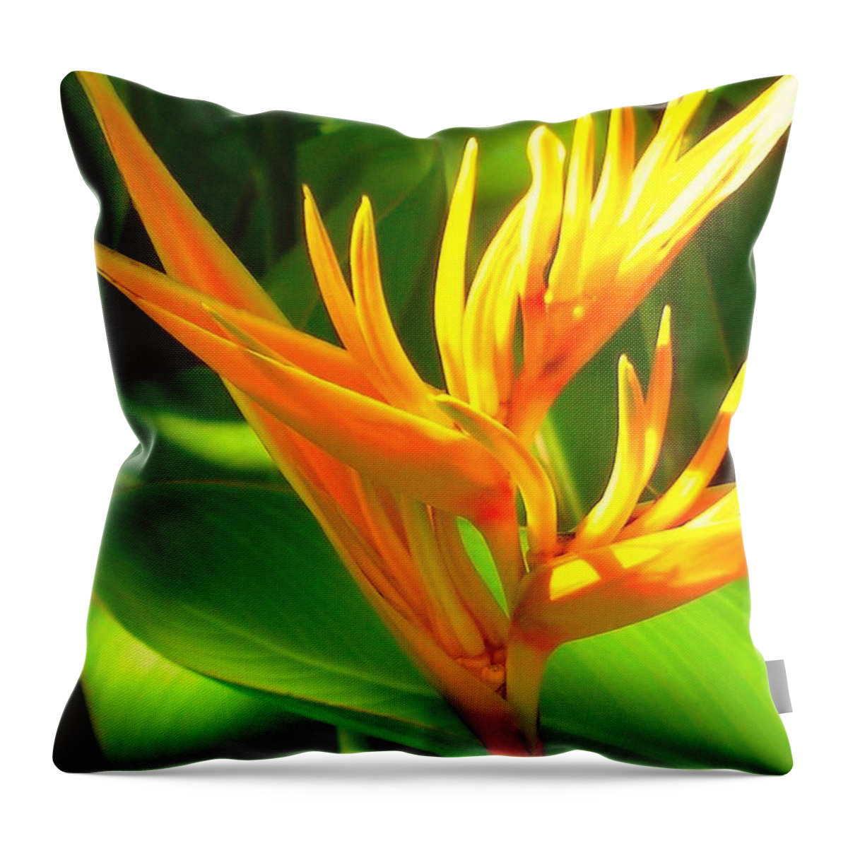 Heliconia Throw Pillow featuring the photograph You're My Light by James Temple
