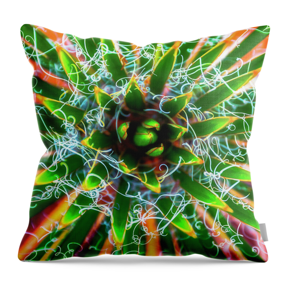 Abstract Throw Pillow featuring the photograph Yucca Sunrise by Darren White