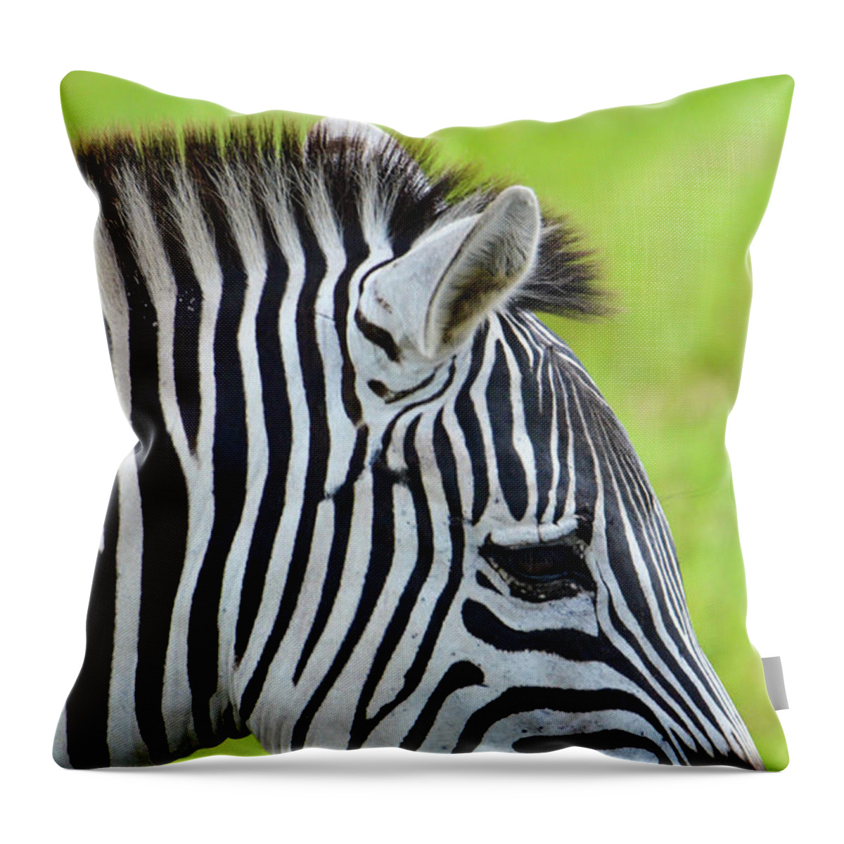 Zebra Throw Pillow featuring the photograph Zebra Head Smiling with Mouth Open by Artful Imagery