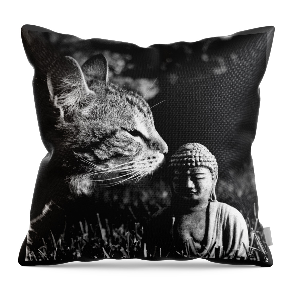 Cat Throw Pillow featuring the photograph Zen Cat Black and White- Photography by Linda Woods by Linda Woods