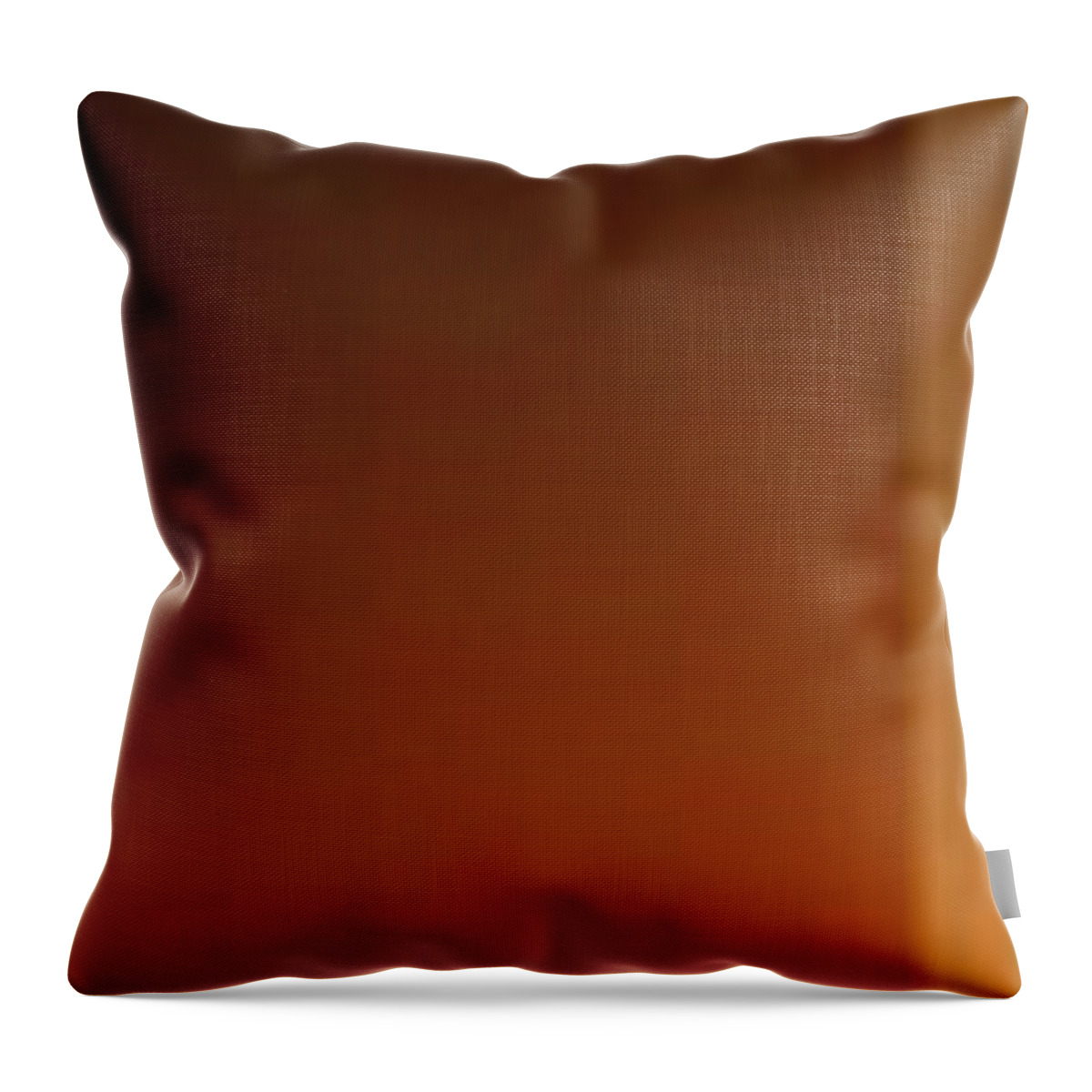 Oil Throw Pillow featuring the painting Brown Totem by Matteo TOTARO