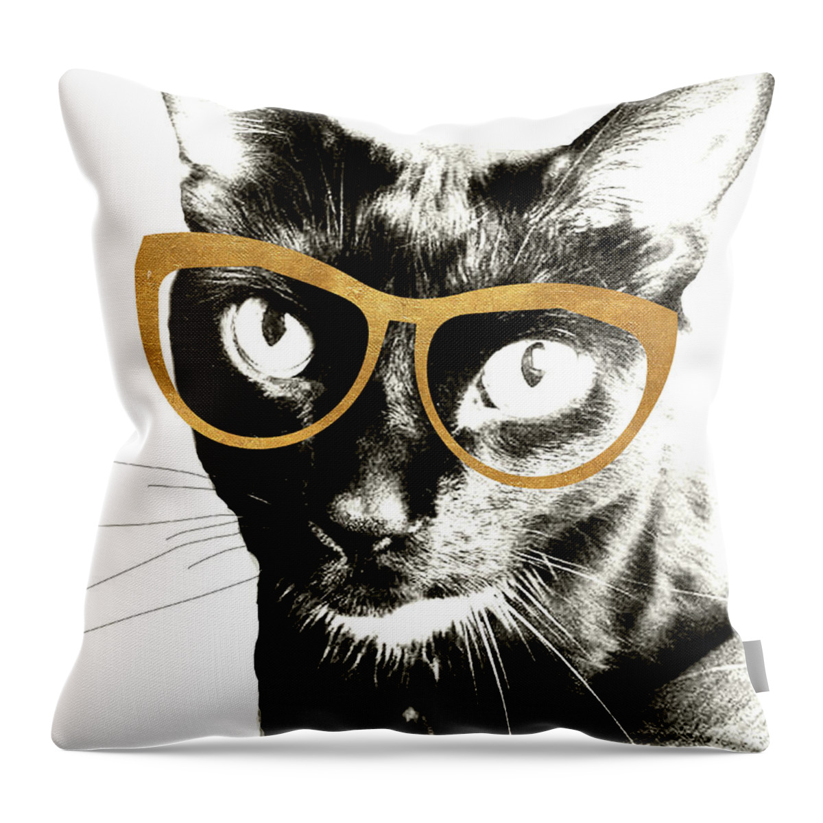 Cool Throw Pillow featuring the photograph Cool Kat by Kali Wilson