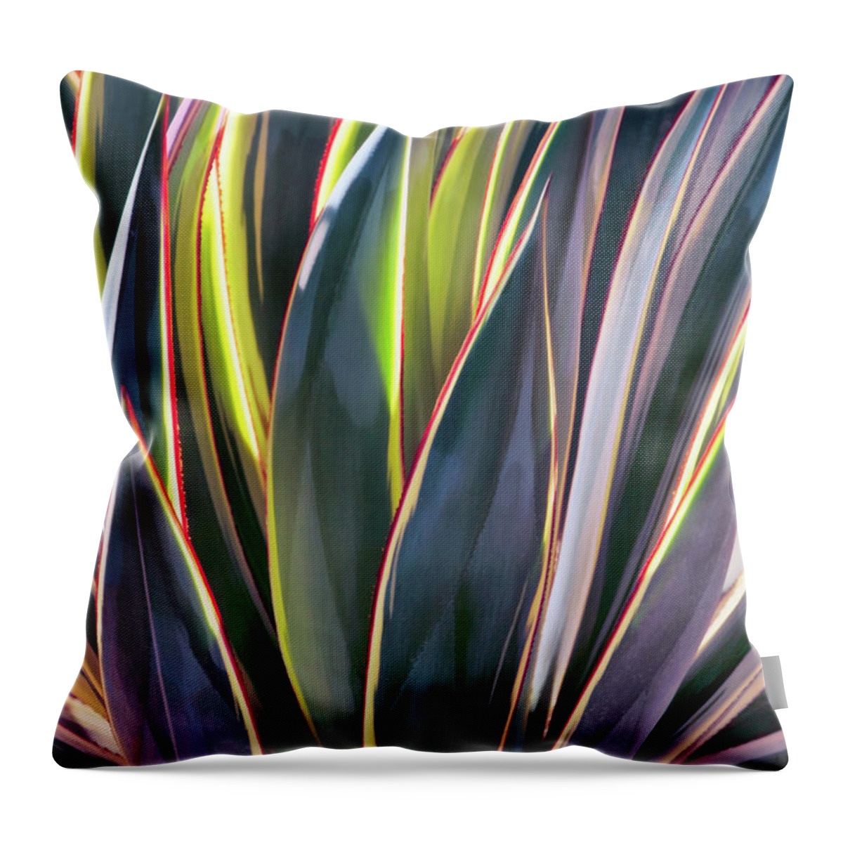Agave Throw Pillow featuring the photograph Edged in Light by Leda Robertson