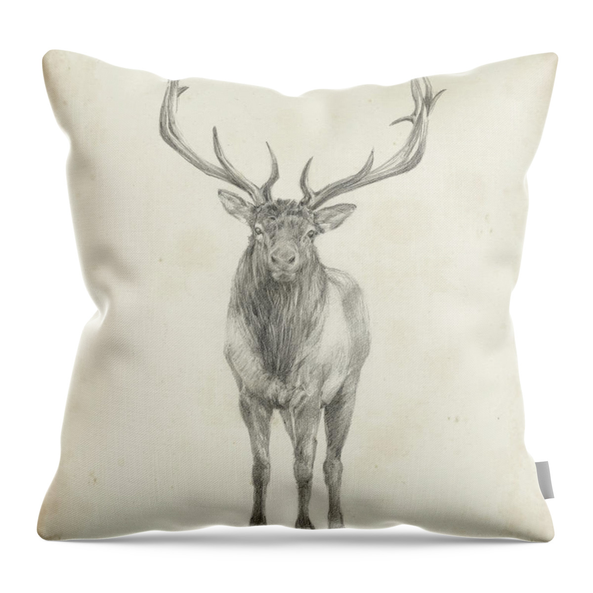 Animals Throw Pillow featuring the painting Elk Study by Ethan Harper