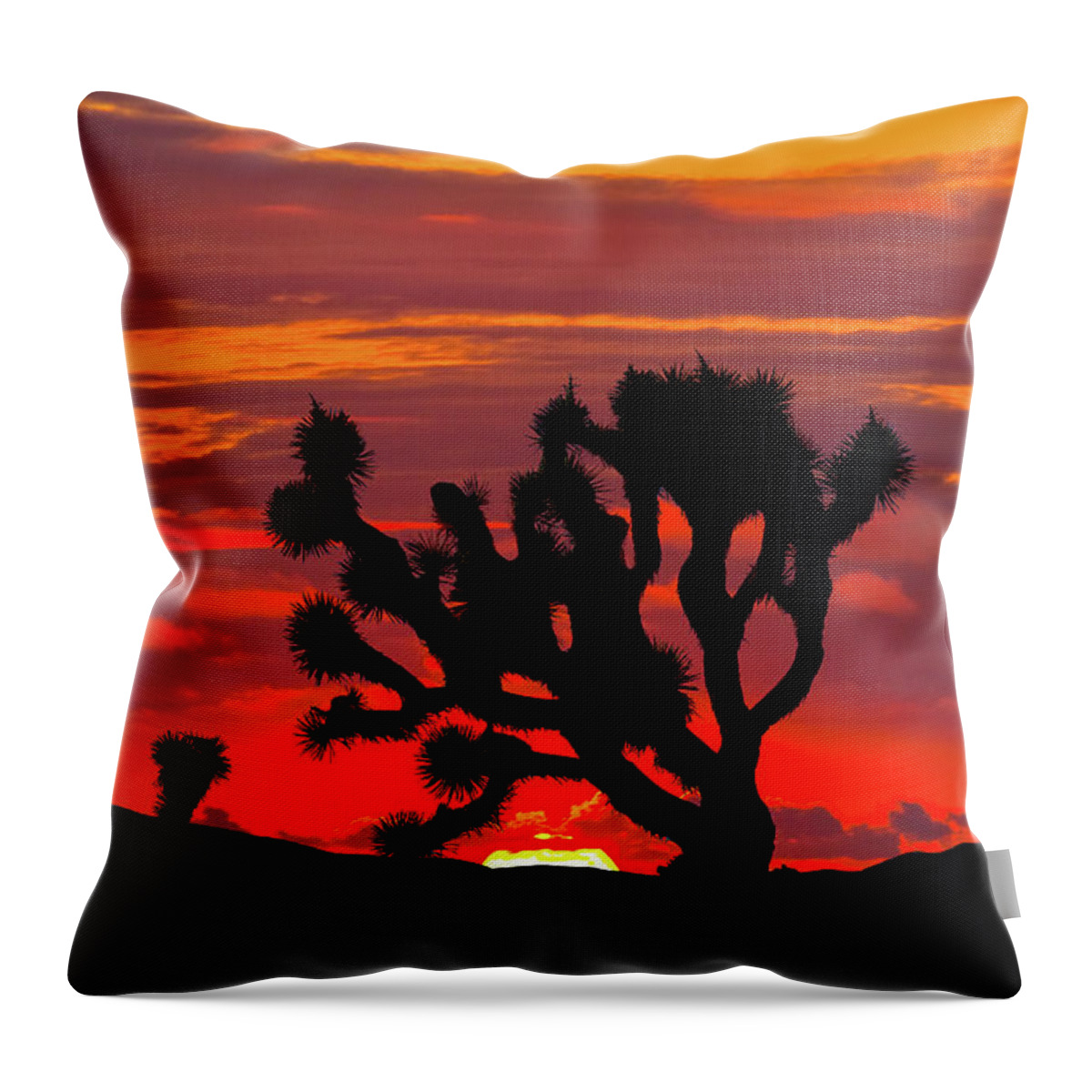 Arid Climate Throw Pillow featuring the photograph Joshua Tree at Sunset by Jeff Goulden