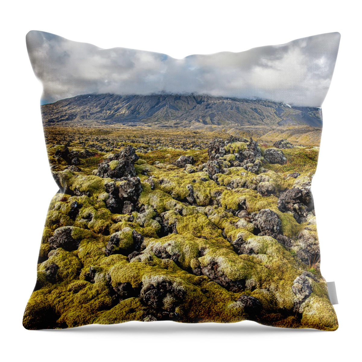 Iceland Throw Pillow featuring the photograph Lava Field of Iceland by David Letts