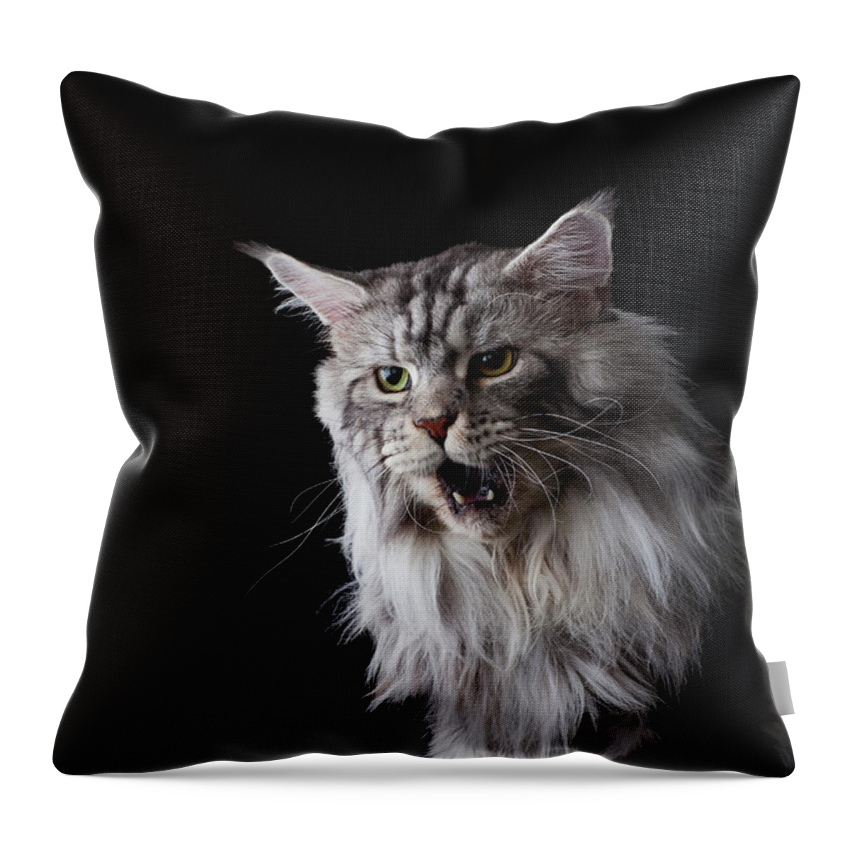 Three Quarter Length Throw Pillow featuring the photograph Maine Coon Cat by Ultra.f