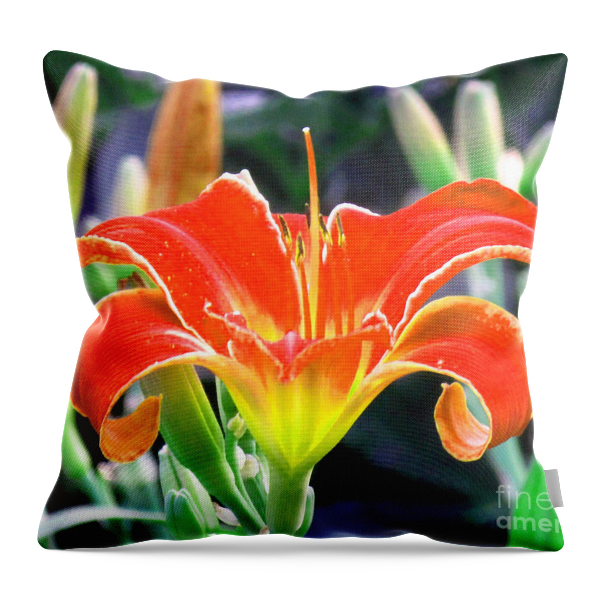 Orange Lily Throw Pillow featuring the photograph Orange Lily by Delynn Addams