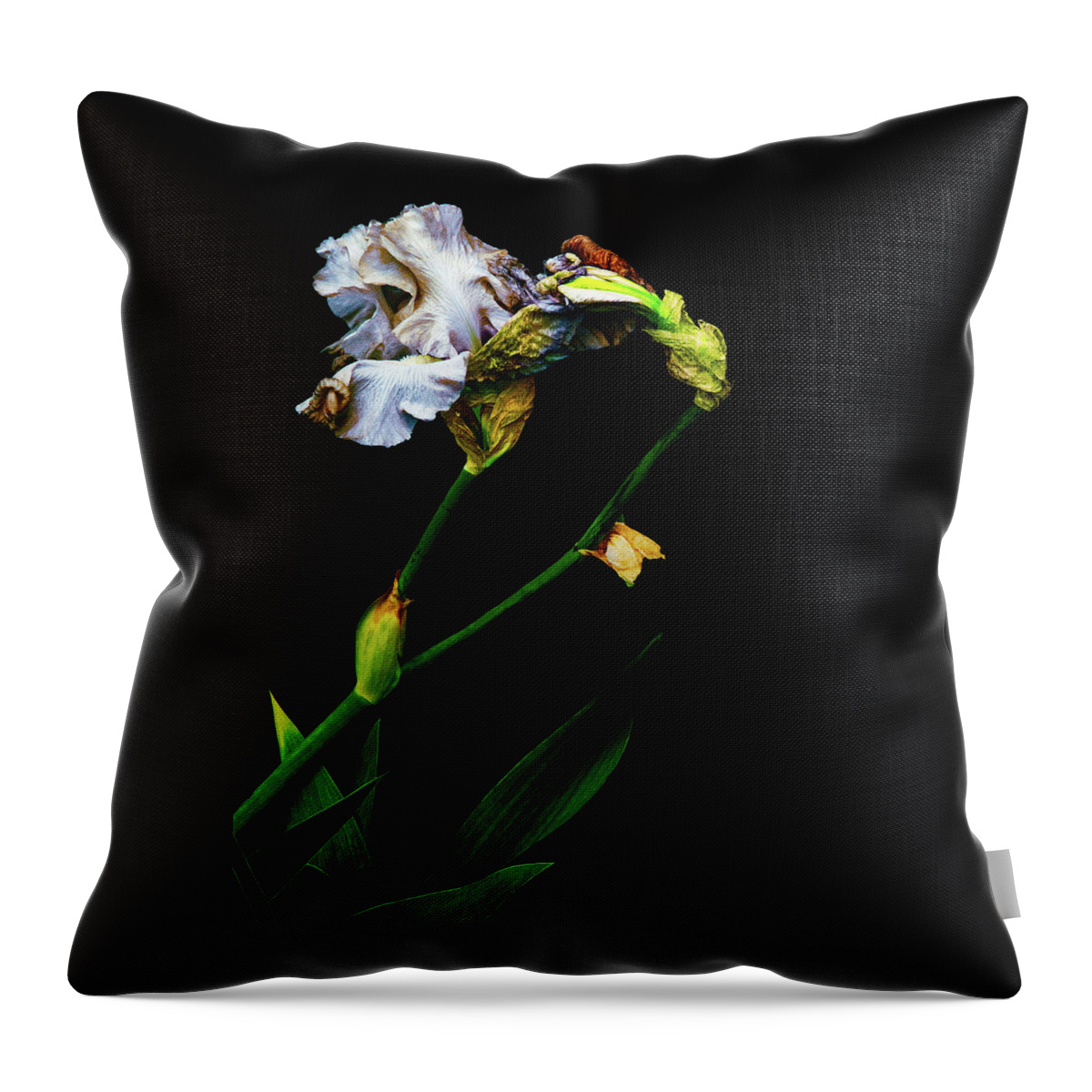 Fine Art Photography Throw Pillow featuring the photograph Penetrate the Magical by Cynthia Dickinson