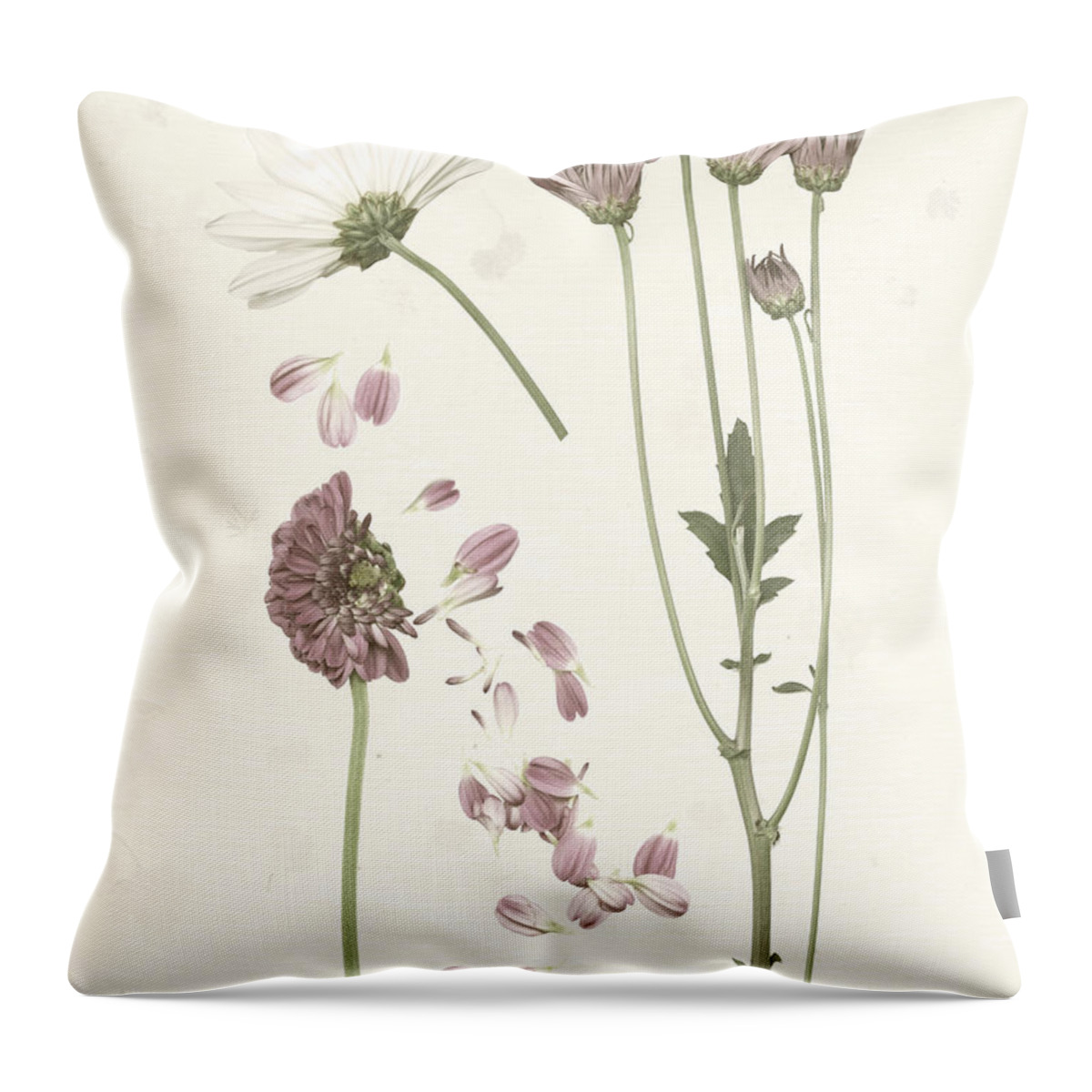 Botanical Throw Pillow featuring the painting Pressed Blooms II by Grace Popp
