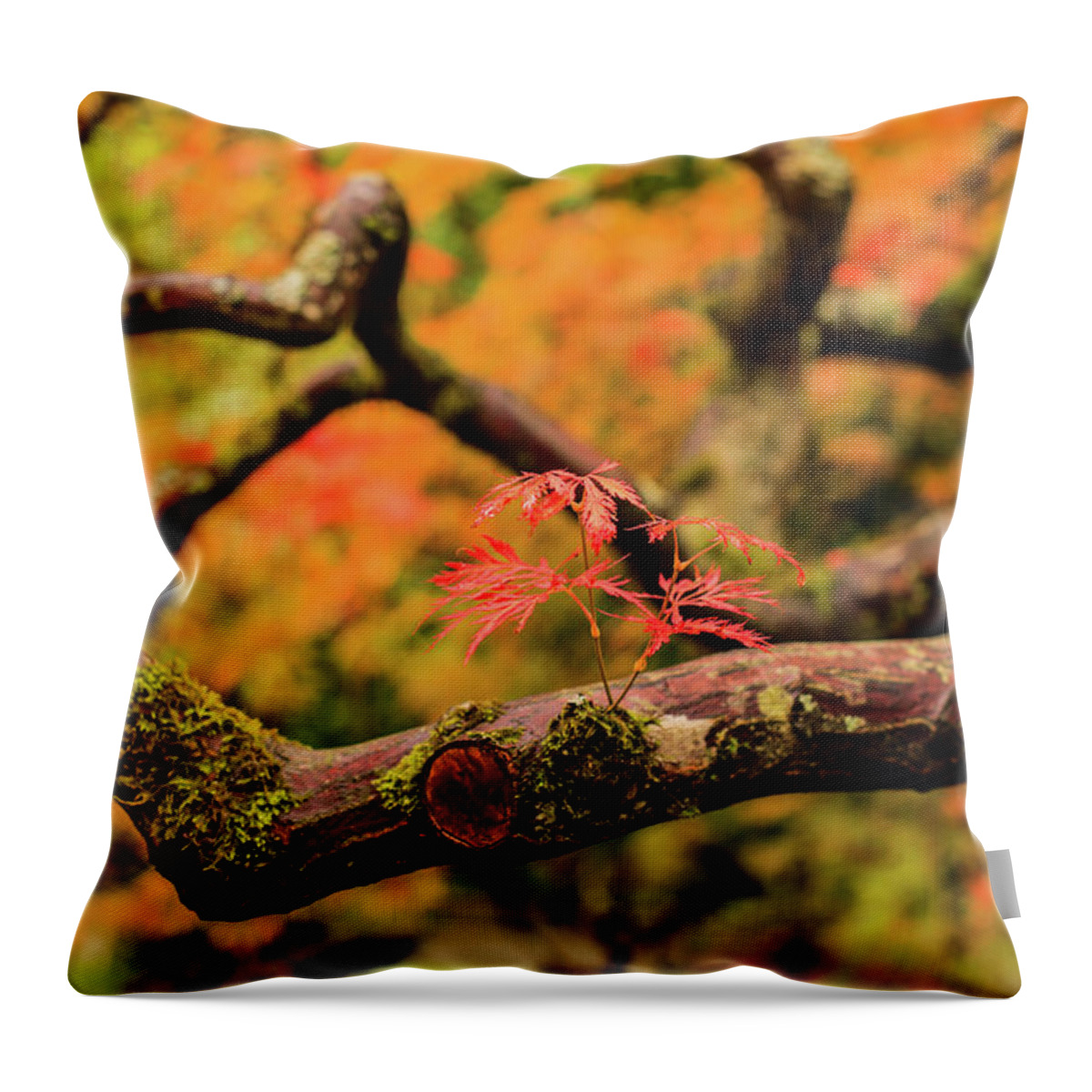 Japanese Garden Throw Pillow featuring the photograph Rebirth by Briand Sanderson