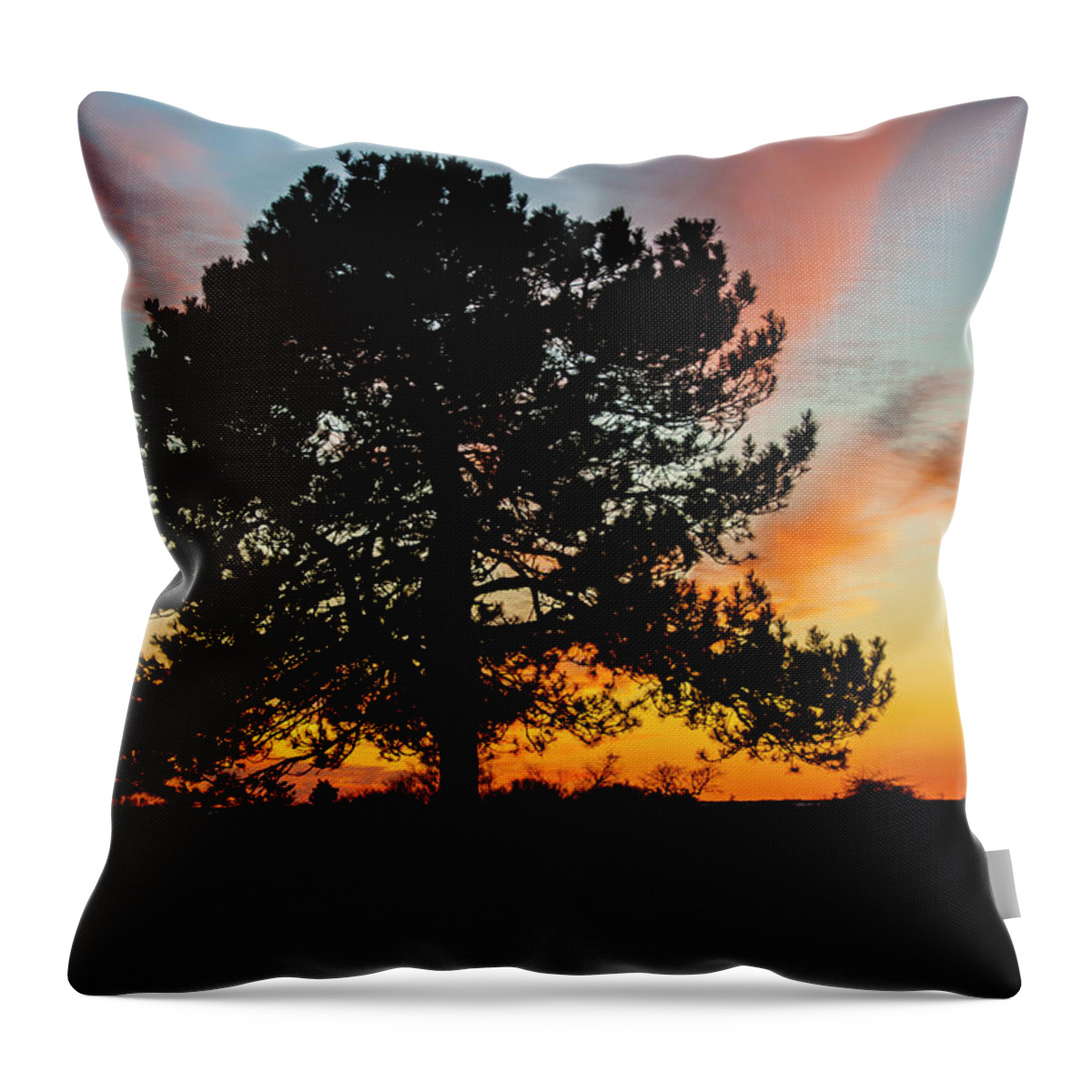 Tree Throw Pillow featuring the photograph Sunset Silhouette by Cathy Kovarik