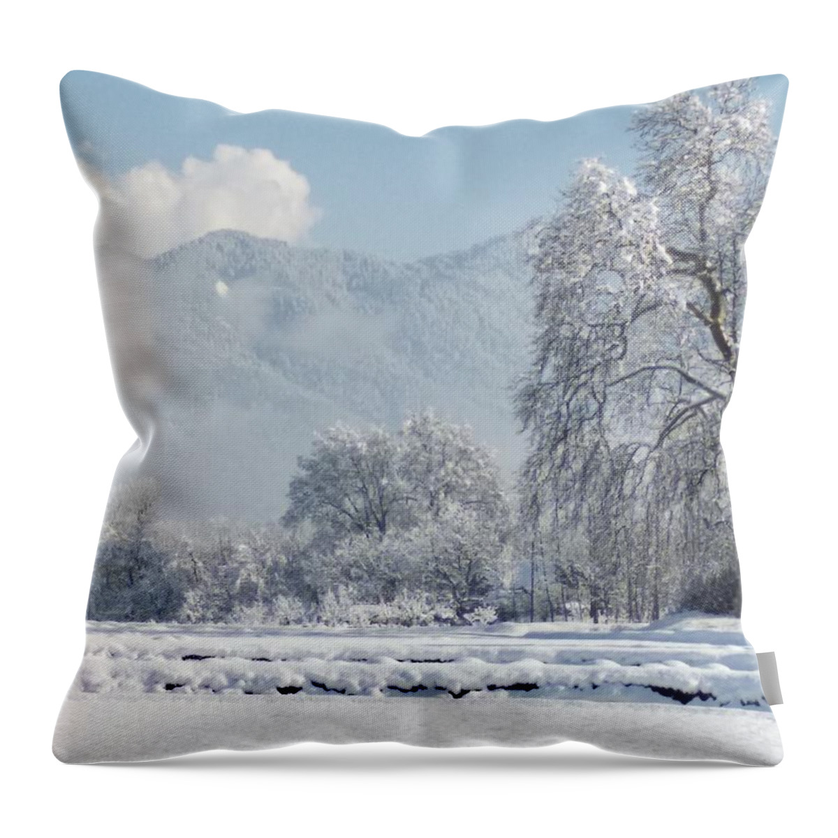  Throw Pillow featuring the photograph The Snow Story by Jacob