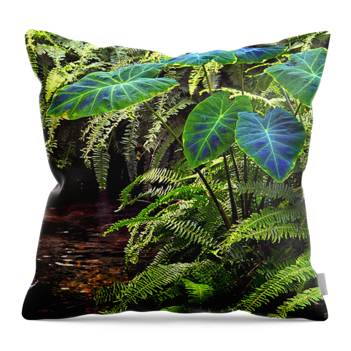 Nature Throw Pillow featuring the photograph Tranquility by Gerlinde Keating - Galleria GK Keating Associates Inc