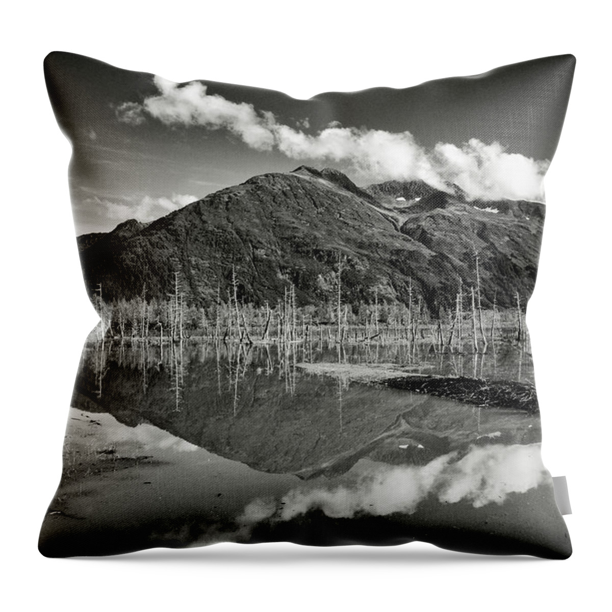 Alaska Wilderness Throw Pillow featuring the photograph Turnagain Arm Alaska by Donald Pash