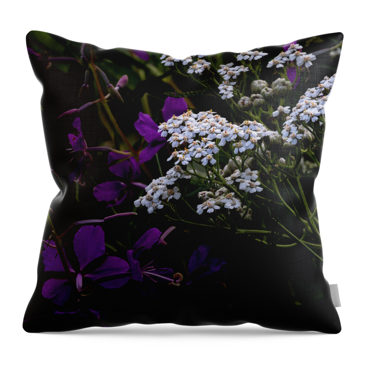 Alaska Throw Pillow featuring the photograph Yarrow by Fred Denner