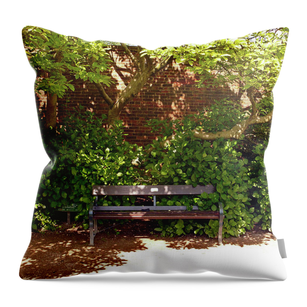 Chorley Throw Pillow featuring the photograph 11/05/19 CHORLEY. Astley Hall. Walled Garden. Sunlit Bench. by Lachlan Main