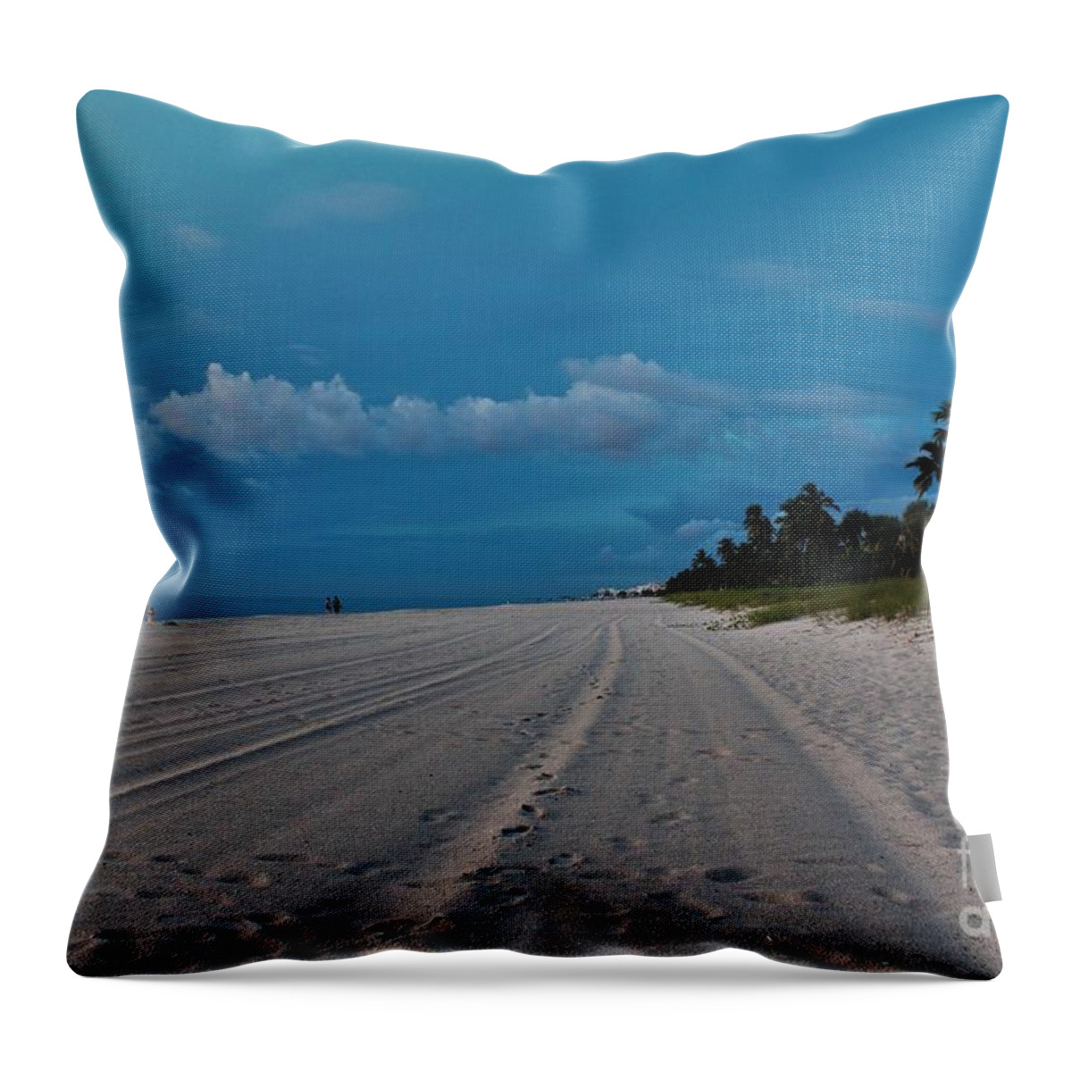 Naples Florida Throw Pillow featuring the photograph Naples Beach #15 by Donn Ingemie