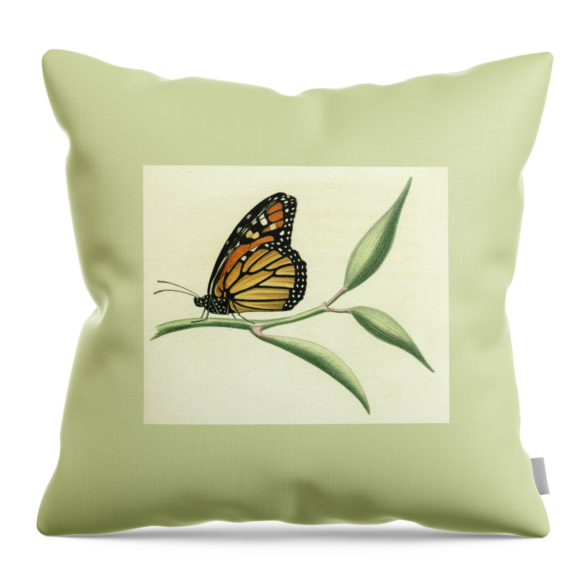 Entomology Throw Pillow featuring the mixed media Butterfly by Unknown