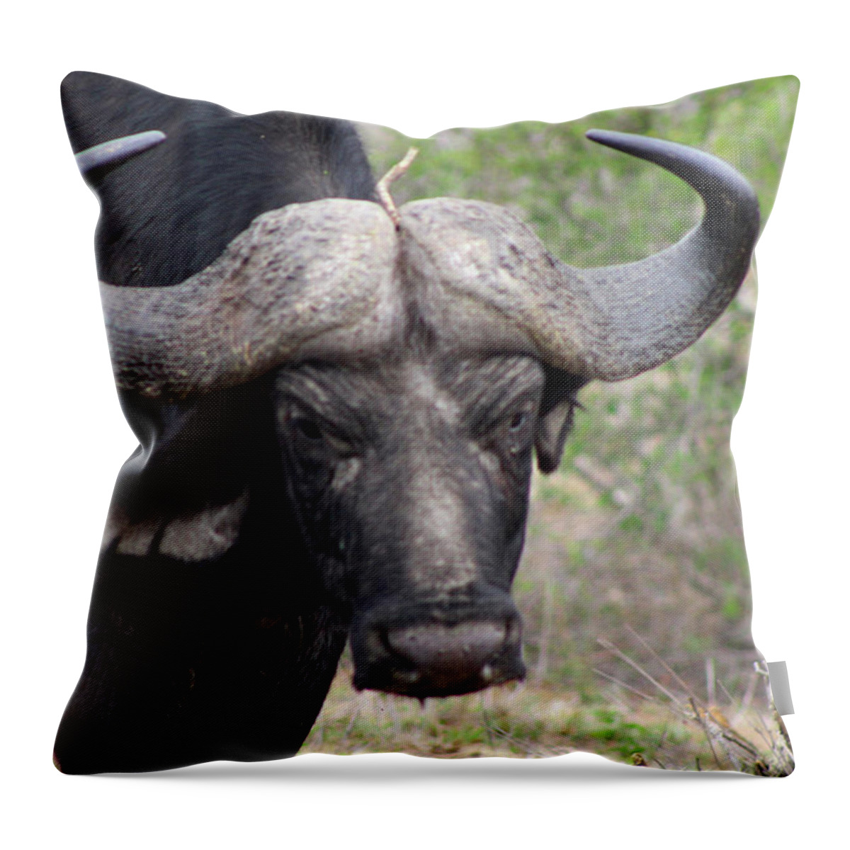  Throw Pillow featuring the photograph 2 by Eric Pengelly